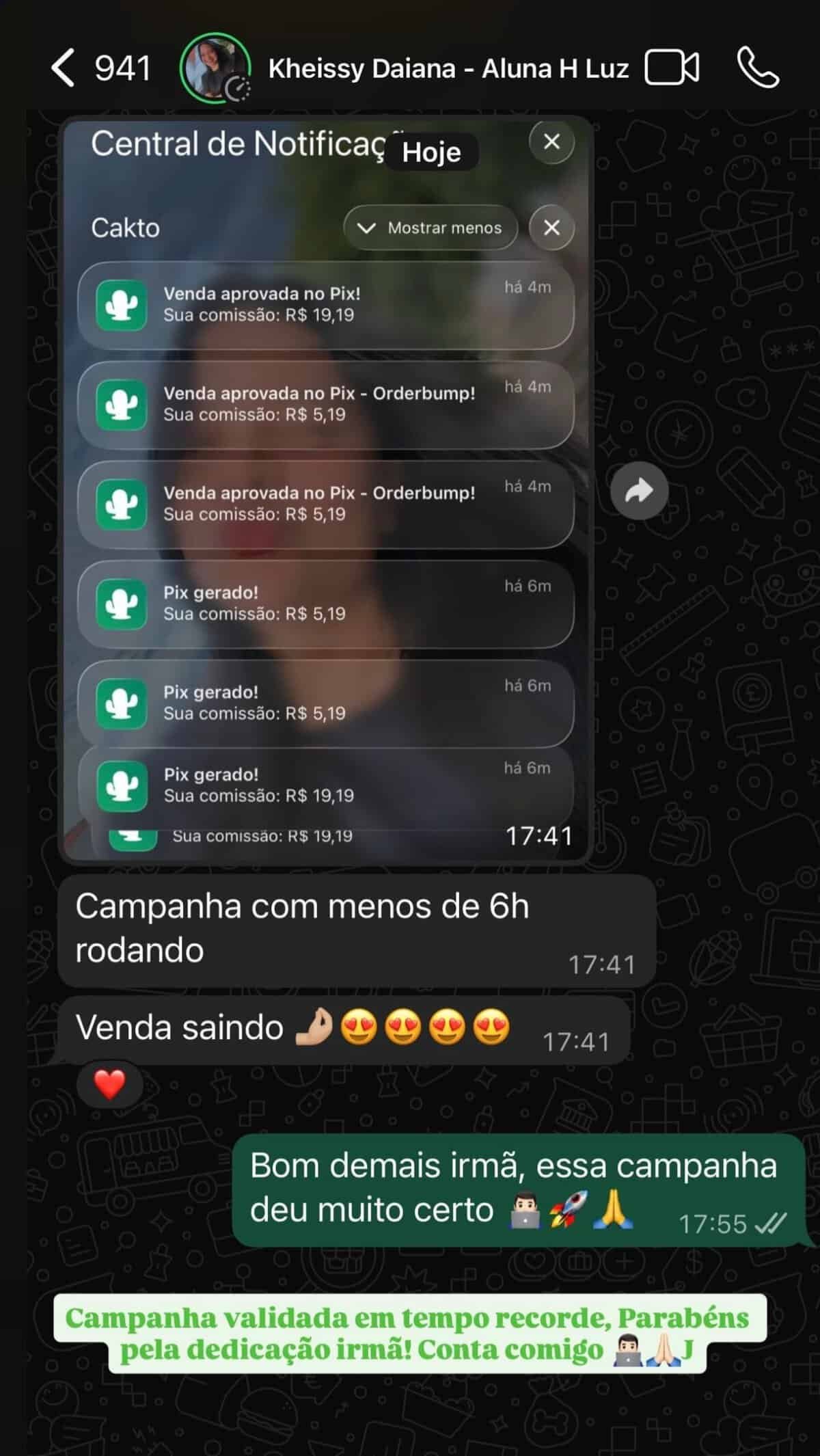 Captura de tela de uma conversa de WhatsApp sobre campanha de vendas e resultados positivos.